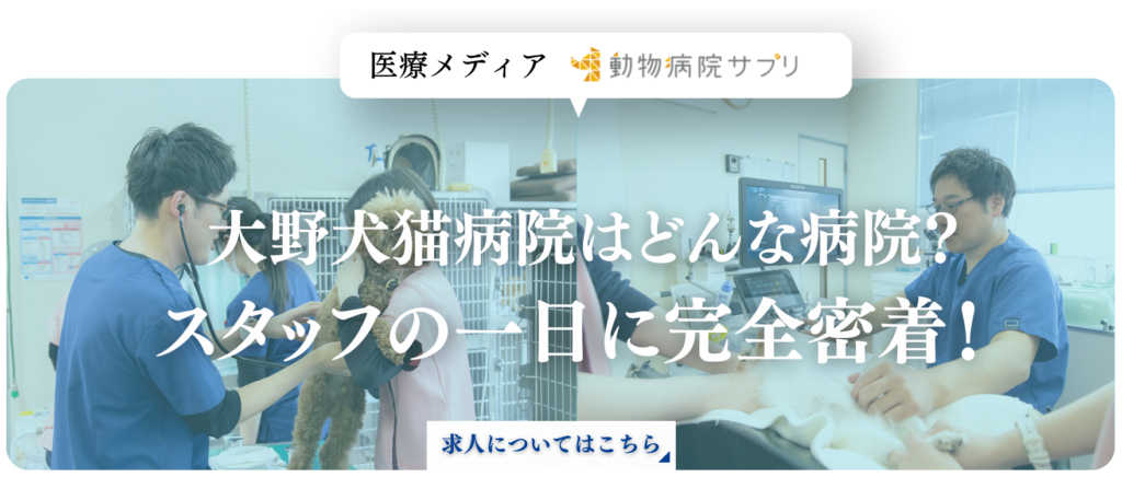 大野犬猫病院様　求人レポートバナー